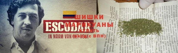 соль ск Алзамай