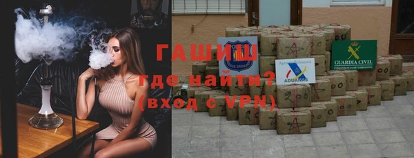 индика Абаза