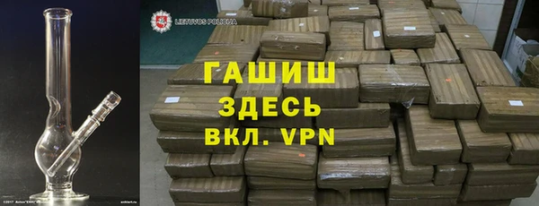 индика Алексин