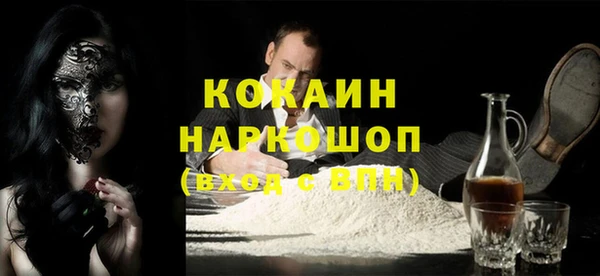 индика Абаза