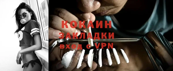 индика Абаза