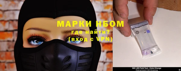 индика Алексин