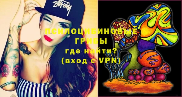 индика Абаза
