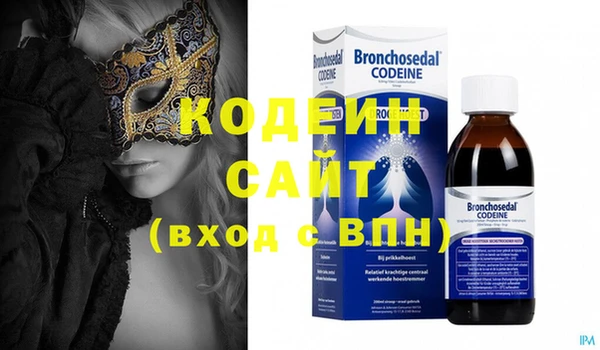 индика Абаза