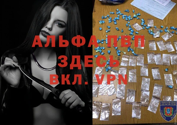 индика Алексин