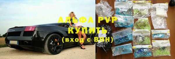 индика Абаза
